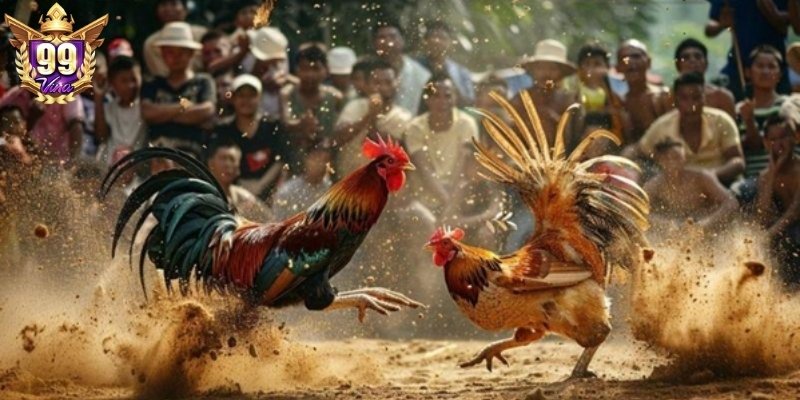 99Vina mang đến trải nghiệm khó có thể qua dành cho bạn